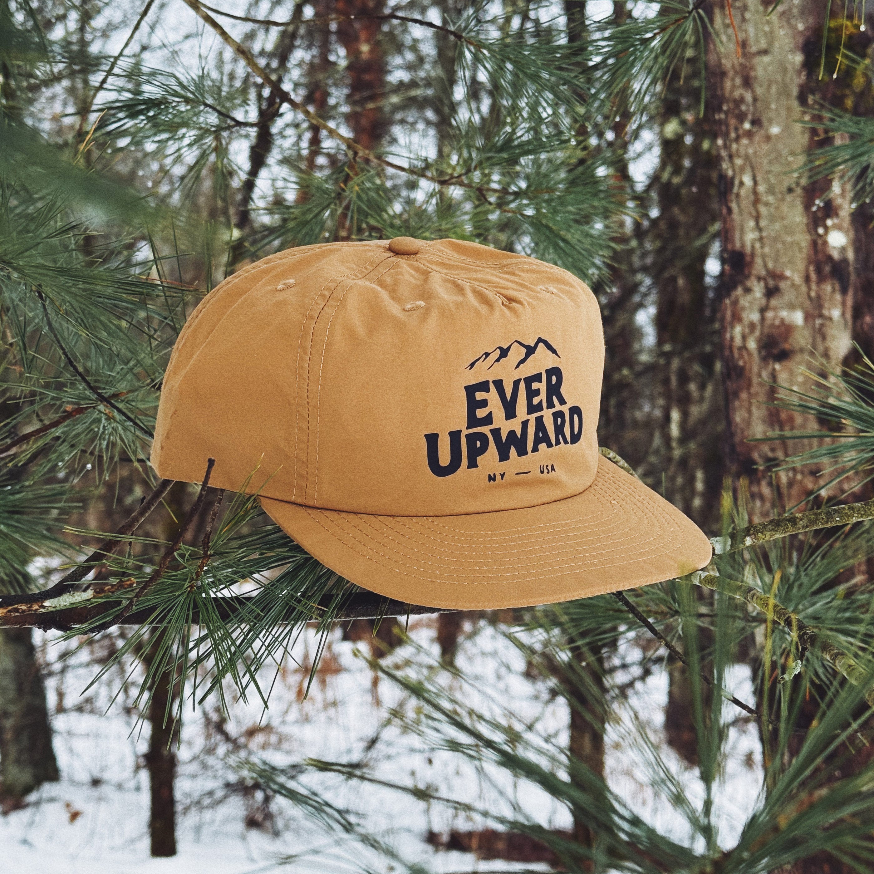 Ever Upward Hat